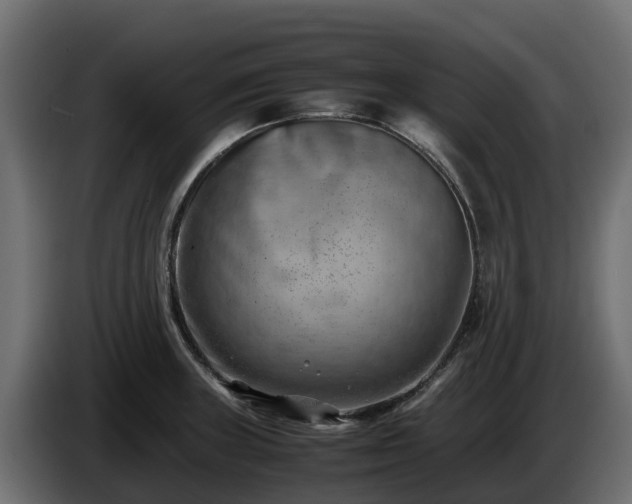 X0000085751235200703231125