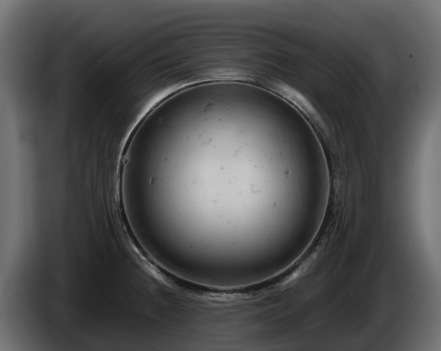 X0000085751236200703231125