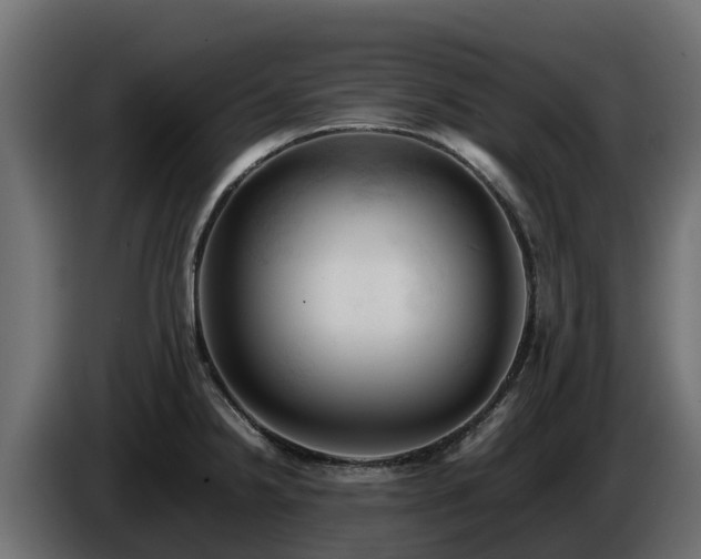 X0000085751238200703231125