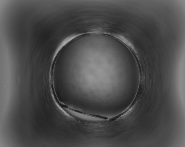 X0000085751239200703231125