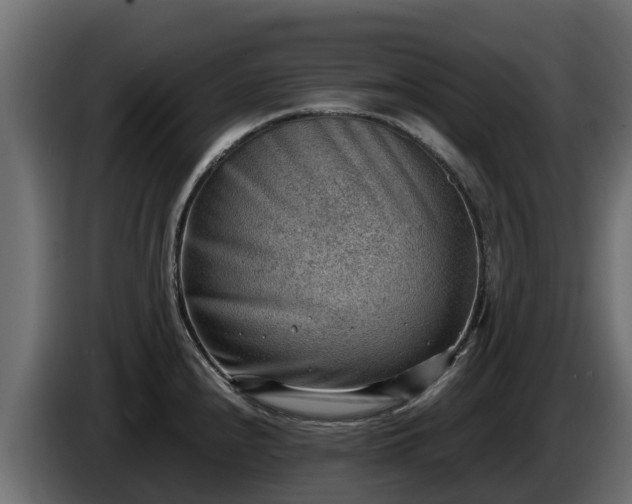 X0000085751240200703231125