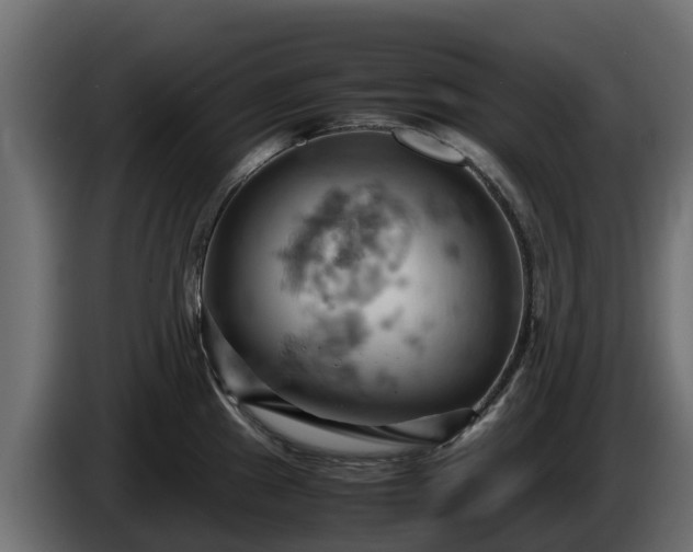 X0000085751241200703231125