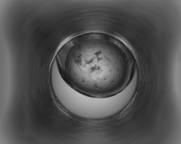 X0000085751242200703231125