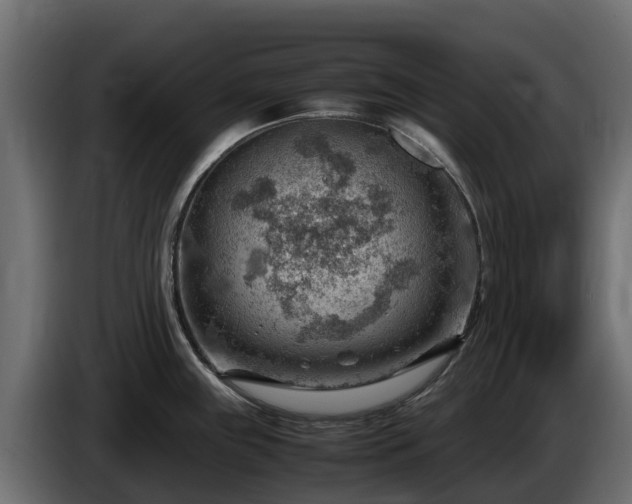 X0000085751243200703231125