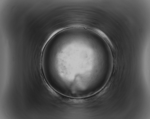 X0000085751244200703231125