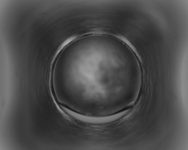 X0000085751245200703231125