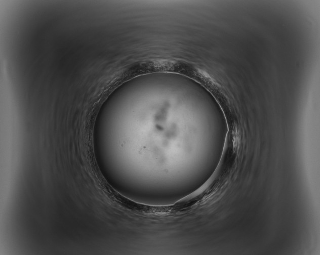X0000085751249200703231124