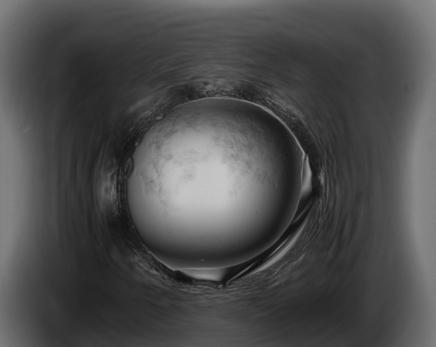 X0000085751250200703231124