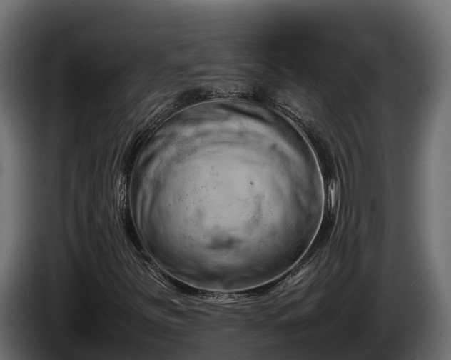 X0000085751251200703231124