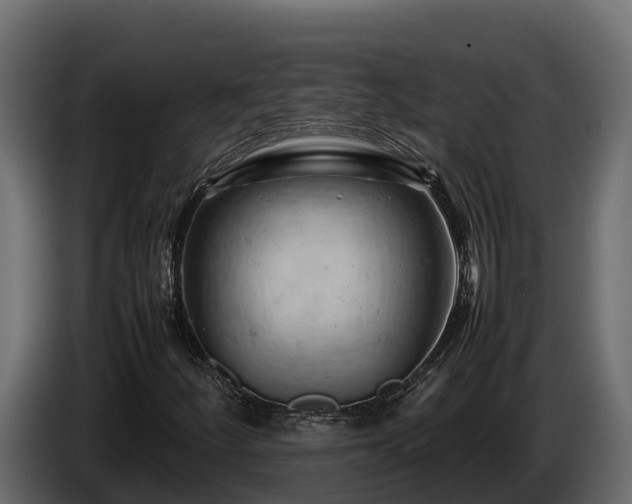 X0000085751252200703231124