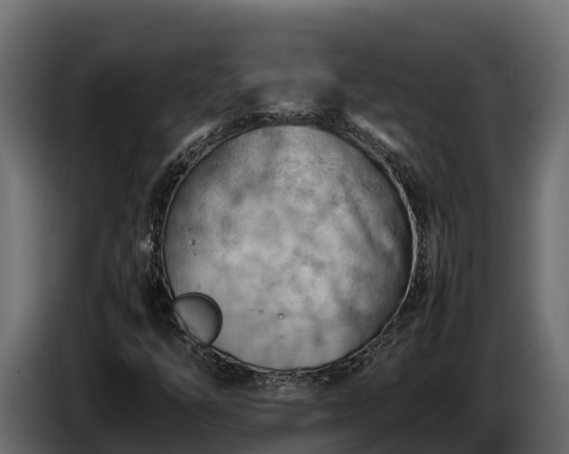 X0000085751254200703231124