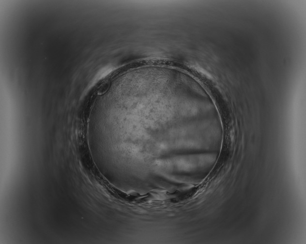 X0000085751255200703231124