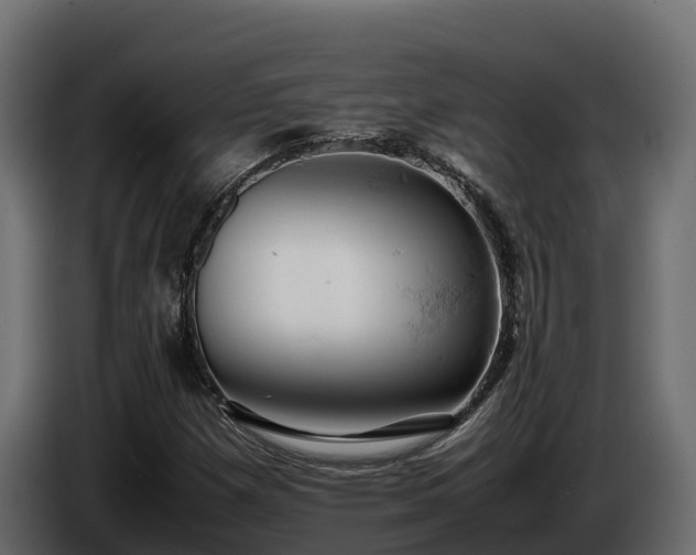 X0000085751257200703231124