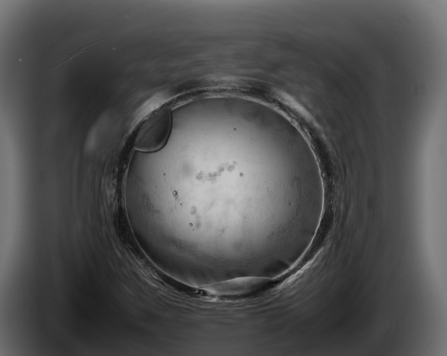 X0000085751259200703231124