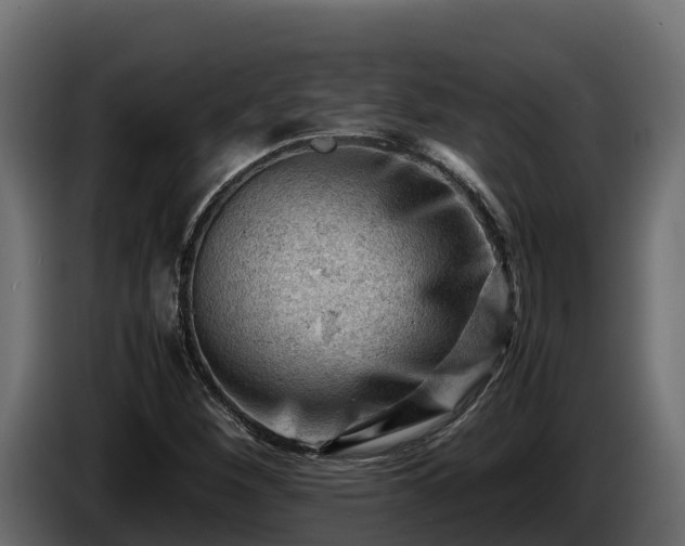 X0000085751260200703231124