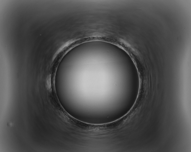 X0000085751262200703231124