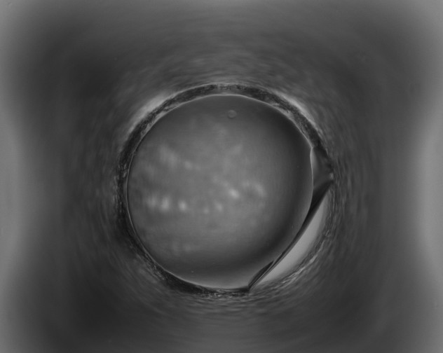 X0000085751263200703231124