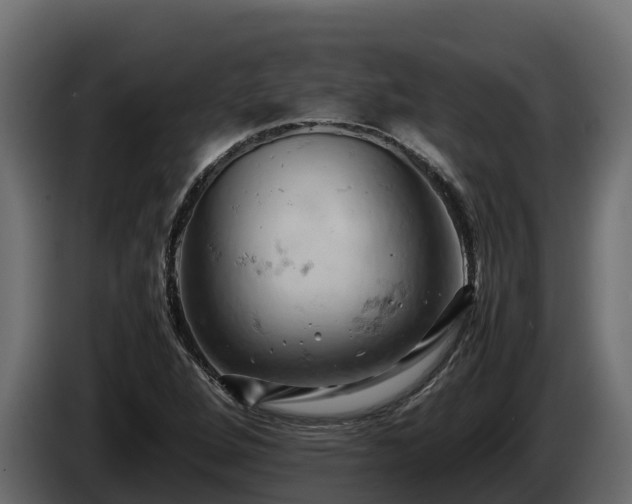 X0000085751264200703231124