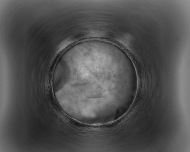 X0000085751266200703231124