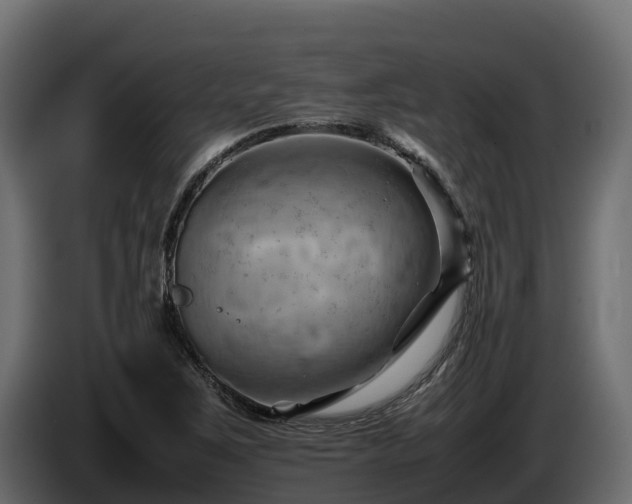 X0000085751267200703231124