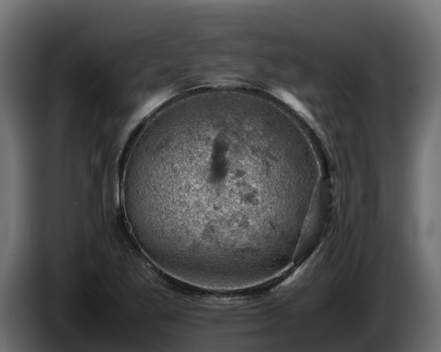 X0000085751269200703231124