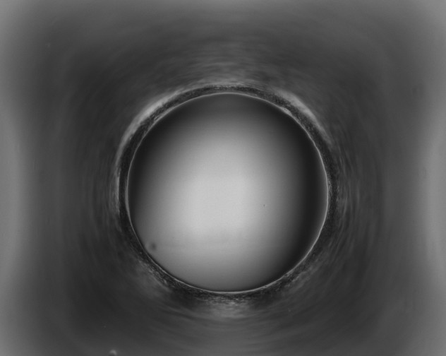 X0000085751270200703231124