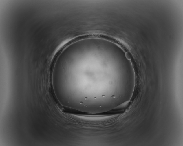 X0000085751271200703231124