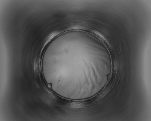 X0000085751274200703231124