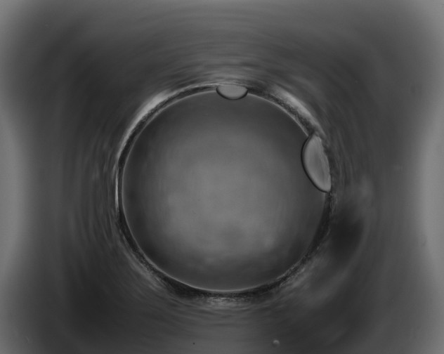 X0000085751275200703231124