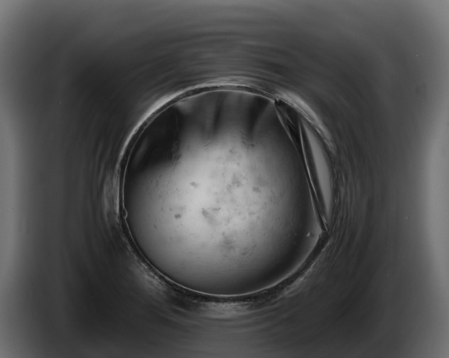 X0000085751276200703231124