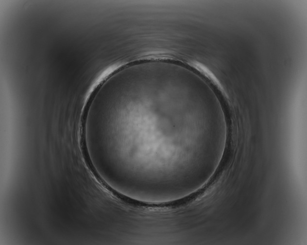 X0000085751277200703231124