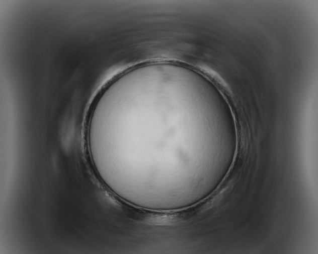 X0000085751278200703231124