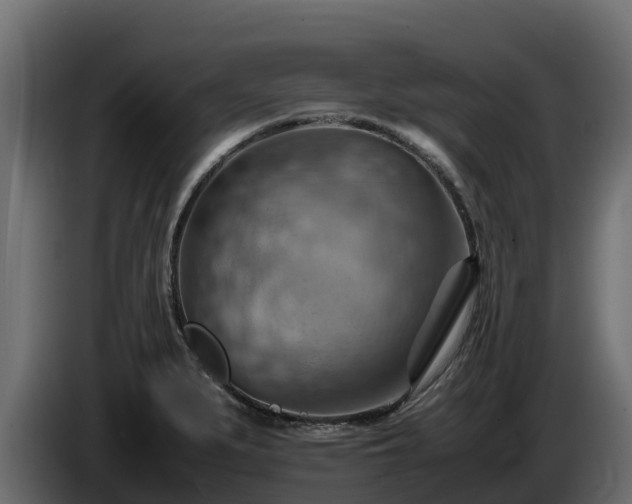 X0000085751279200703231124