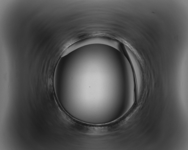 X0000085751281200703231124