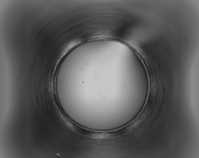 X0000085751282200703231124