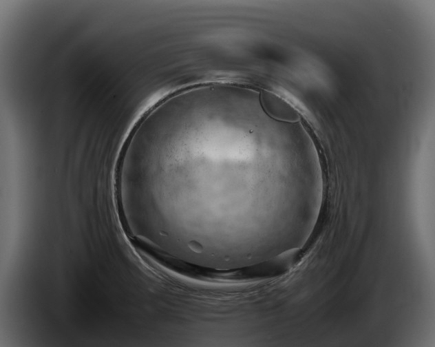 X0000085751283200703231124