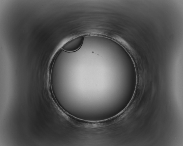 X0000085751286200703231124