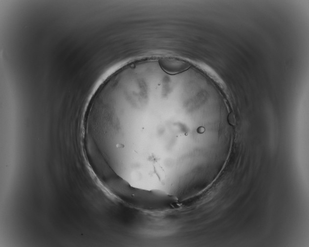 X0000085751287200703231124