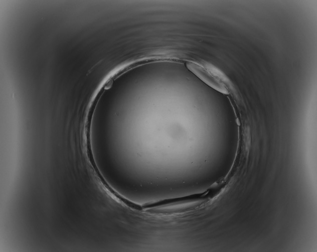 X0000085751288200703231124
