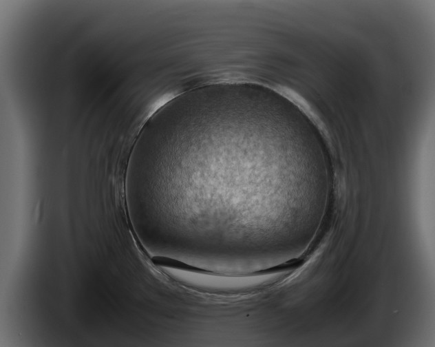 X0000085751289200703231124