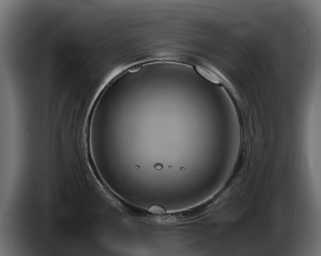 X0000085751291200703231124