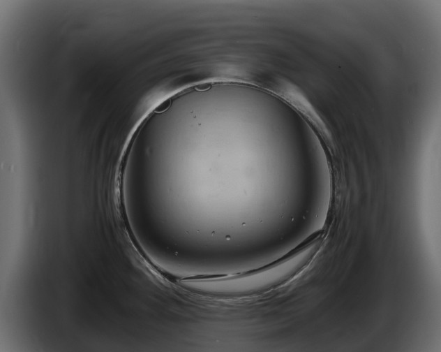 X0000085751292200703231124