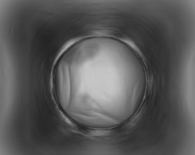 X0000085751294200703231124