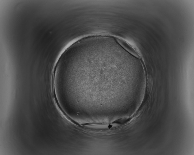 X0000085751295200703231124