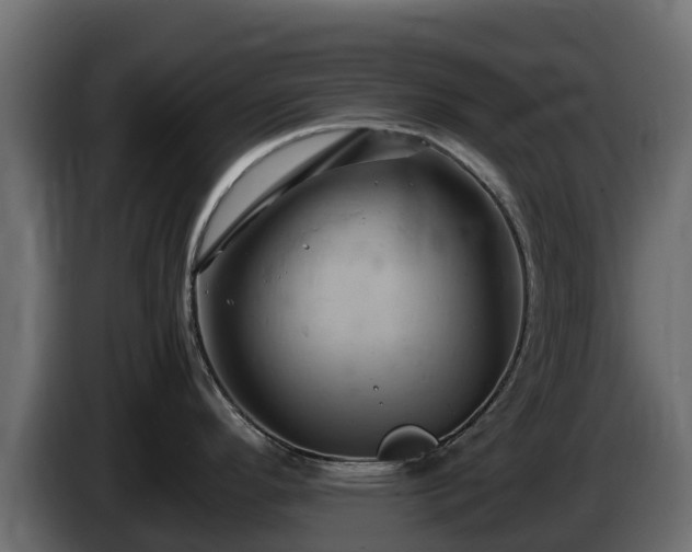 X0000085751296200703231124