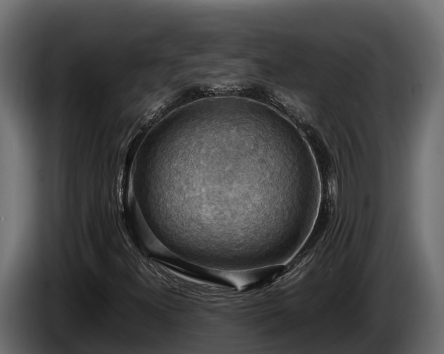 X0000085751300200703231123