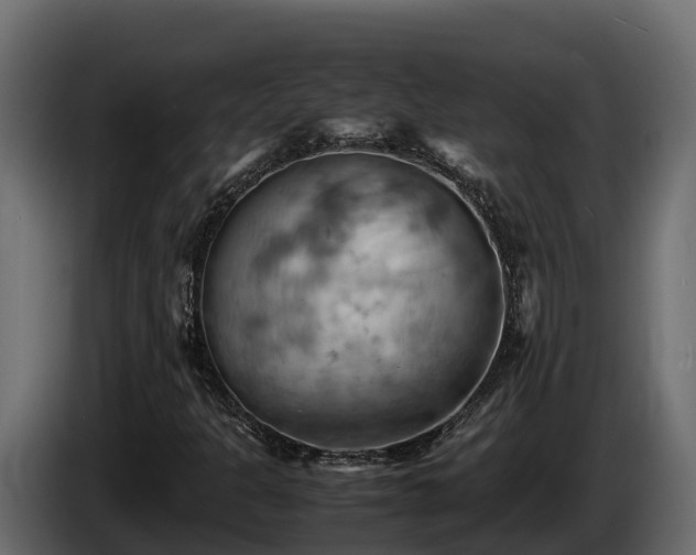 X0000085751301200703231123