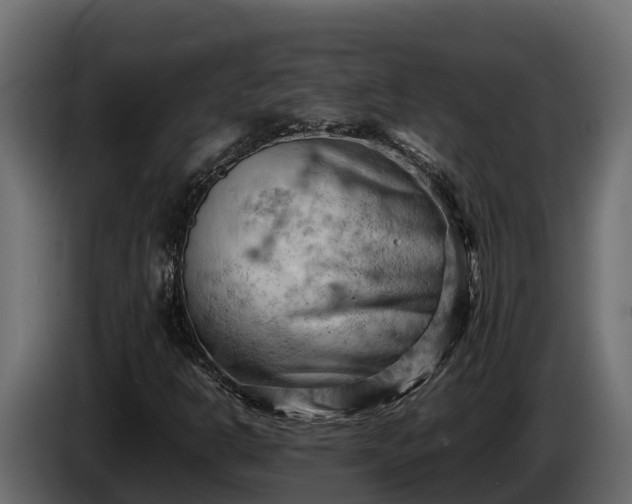 X0000085751302200703231123