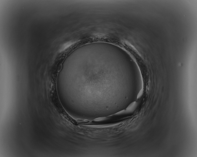 X0000085751303200703231123
