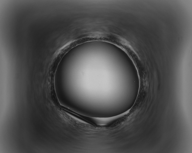 X0000085751304200703231123